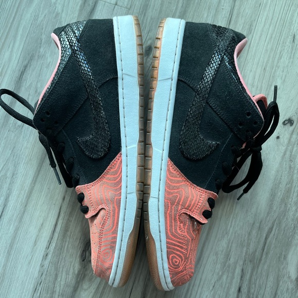 nike dunk low fish ladder